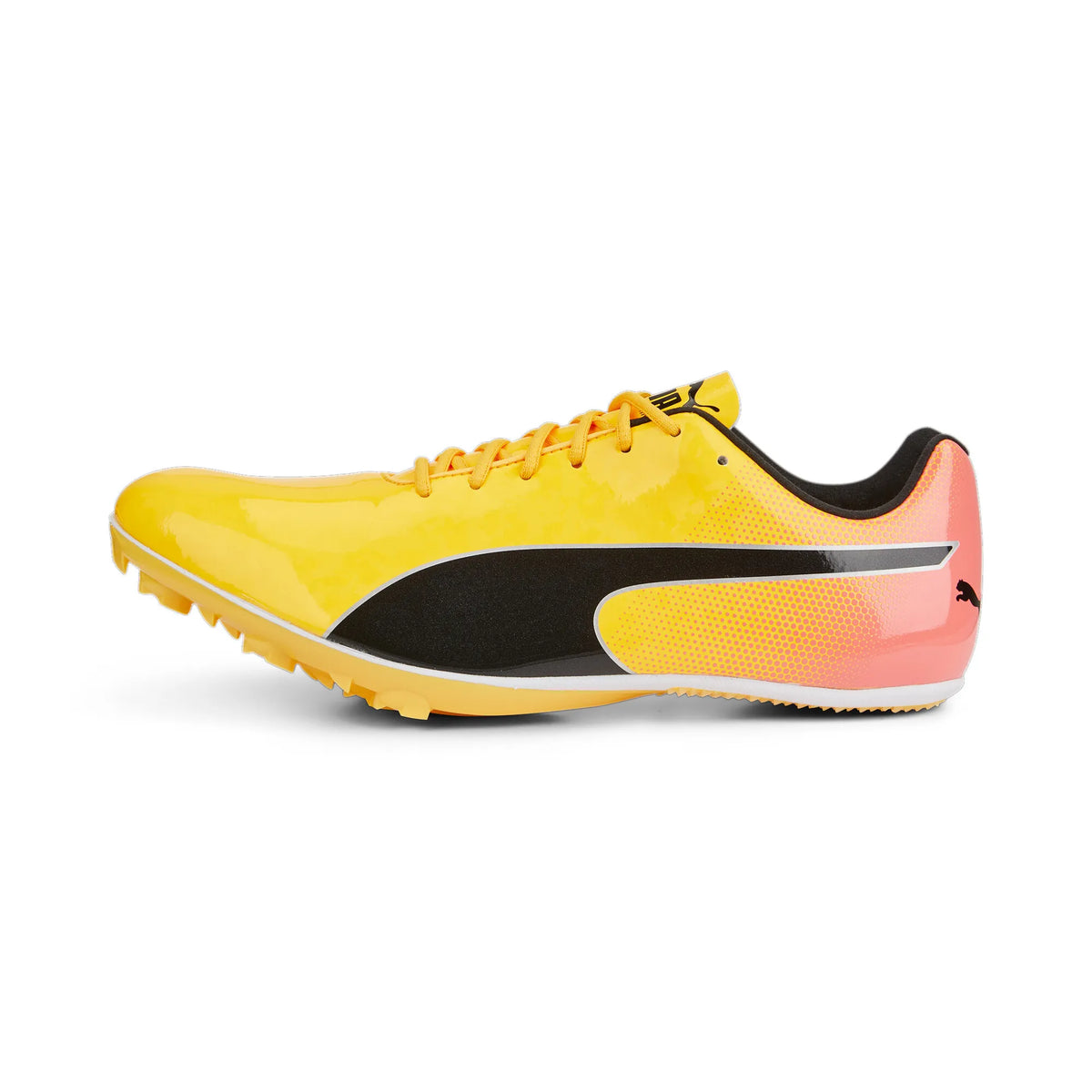 Puma Evospeed Sprint 14 Sun Stream